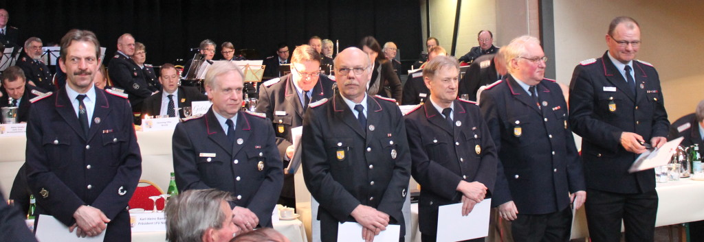 LFV-Ehrennadel Silber
