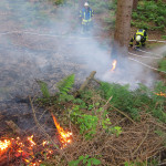 Waldbrand zwischen Velgen, Bornsen und Oldendorf II
