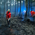 Waldbrand bei Hösseringen