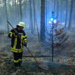 Waldbrand bei Hösseringen