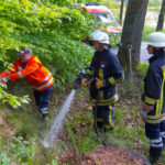Feuer im Unterholz