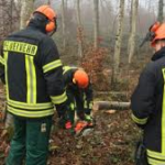 Ausbildung an der Motorsäge in der Samtgemeinde Rosche