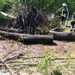 Brennt „Höhle“ in einem Waldstück bei extremer Trockenheit