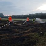 Brennt 1800m² großes Stoppelfeld bei Bienenbüttel