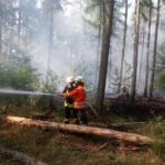 Feuer im Lintzeler Wald