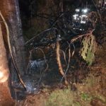 Waldbrand um Mitternacht in Bienenbüttel