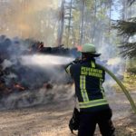 Flammen reichen bis in die Baumkronen – Hohe Waldbrandgefahr – Ersthelfer erfolgreich