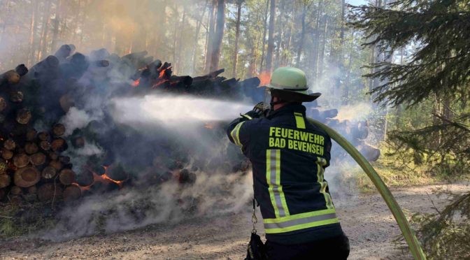 Flammen reichen bis in die Baumkronen – Hohe Waldbrandgefahr – Ersthelfer erfolgreich