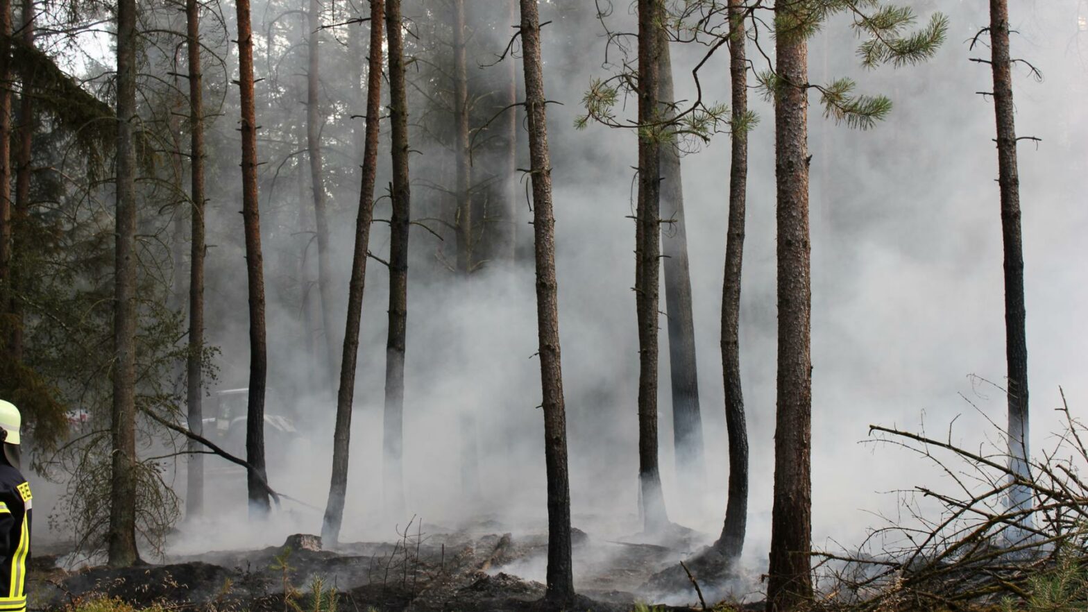 Brennen ca. 4.000m² Wald in Breitenhees