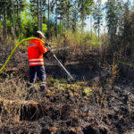 Ausgedehnter Waldbrand im Gemeindegebiet Suderburg