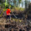 Ausgedehnter Waldbrand im Gemeindegebiet Suderburg